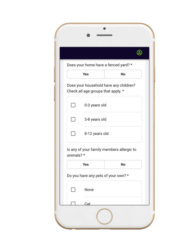 Screenshot of the foster program entry form